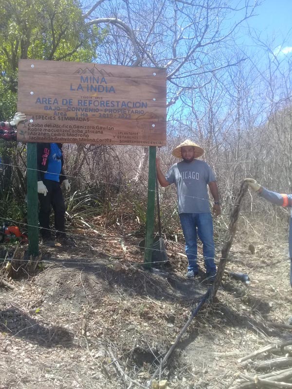 Reforestation area Real de la Cruz concession